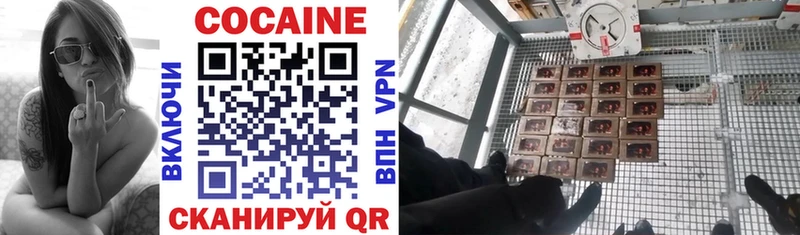 Кокаин FishScale  мега tor  Елизово 