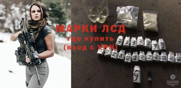 ECSTASY Алзамай