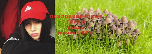 эйфоретик Алексеевка
