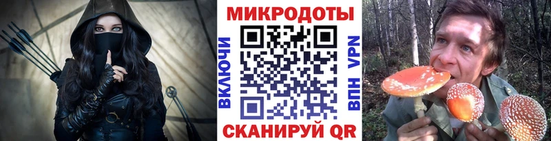 Галлюциногенные грибы Cubensis закладка OMG зеркало Елизово